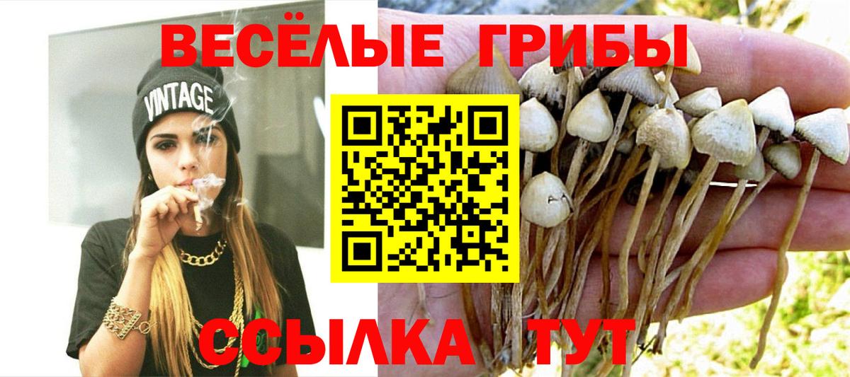 Галлюциногенные грибы MAGIC MUSHROOMS Миллерово